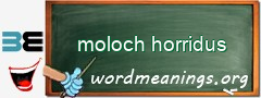 WordMeaning blackboard for moloch horridus